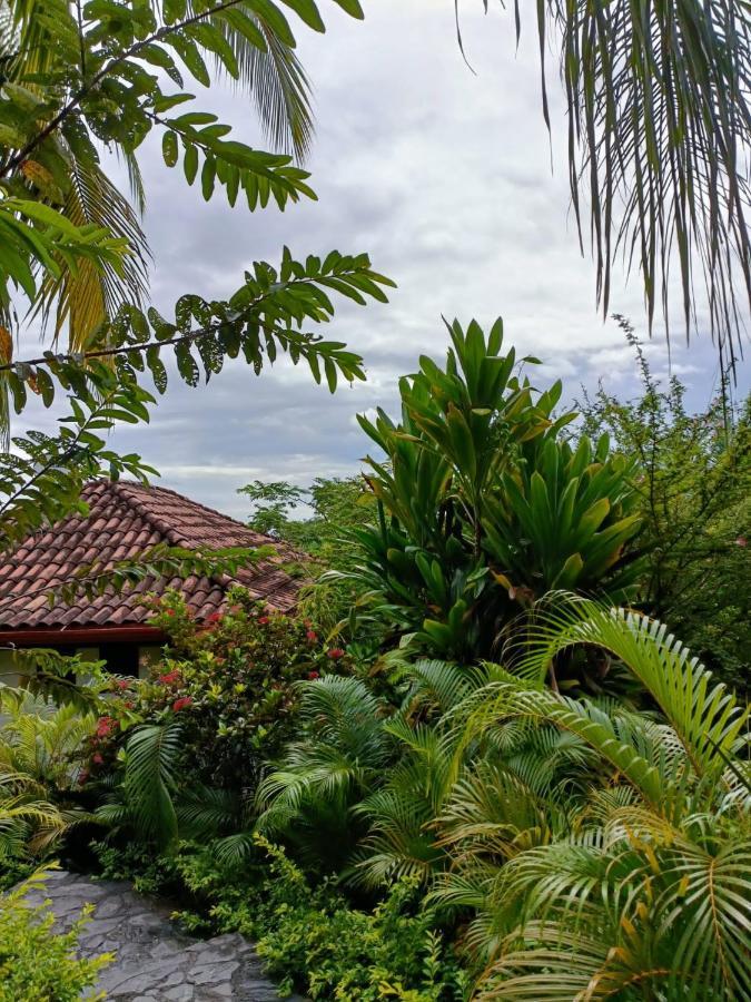 Finca Los Caballos Montezuma Luaran gambar