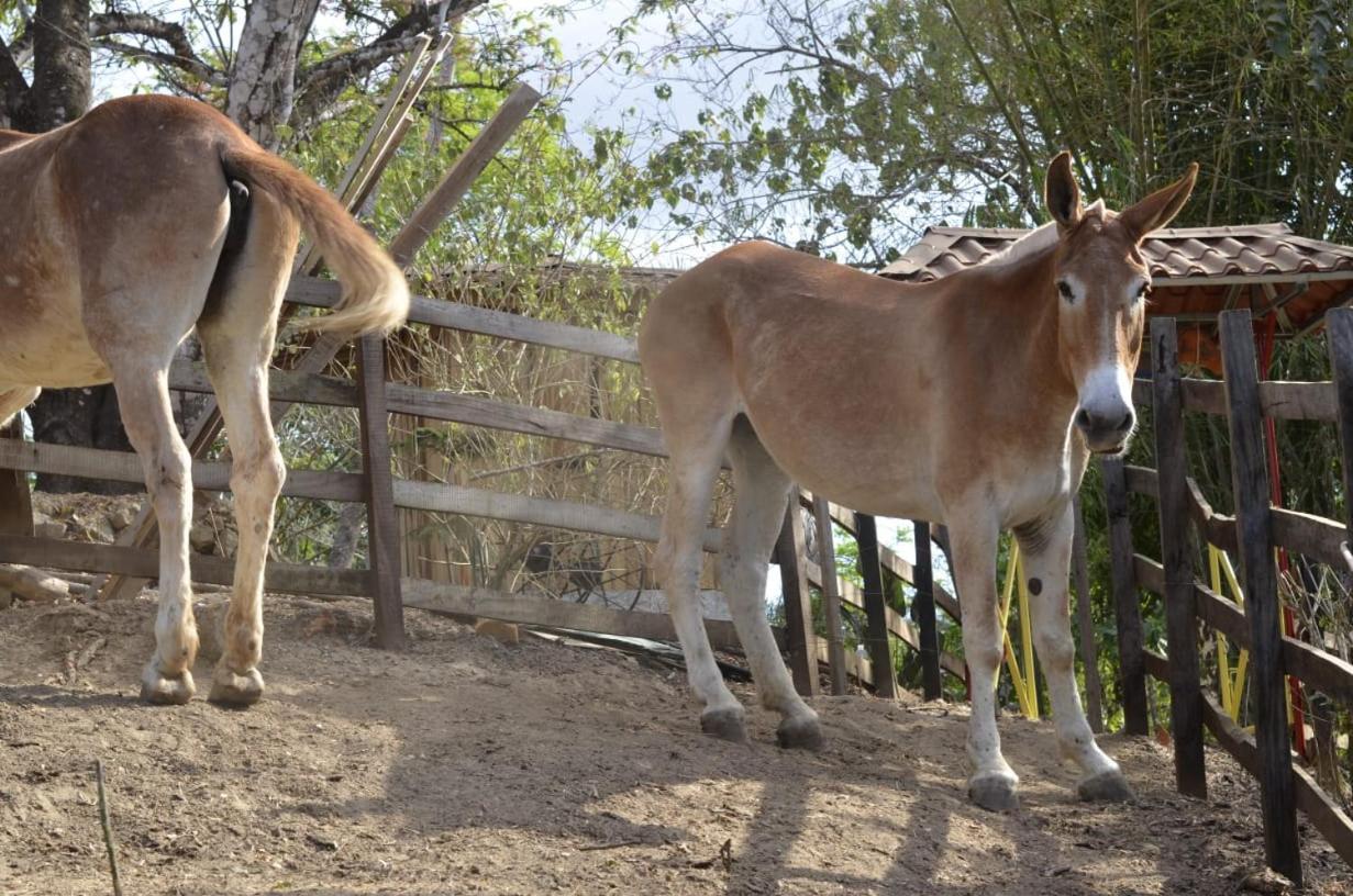 Finca Los Caballos Montezuma Luaran gambar