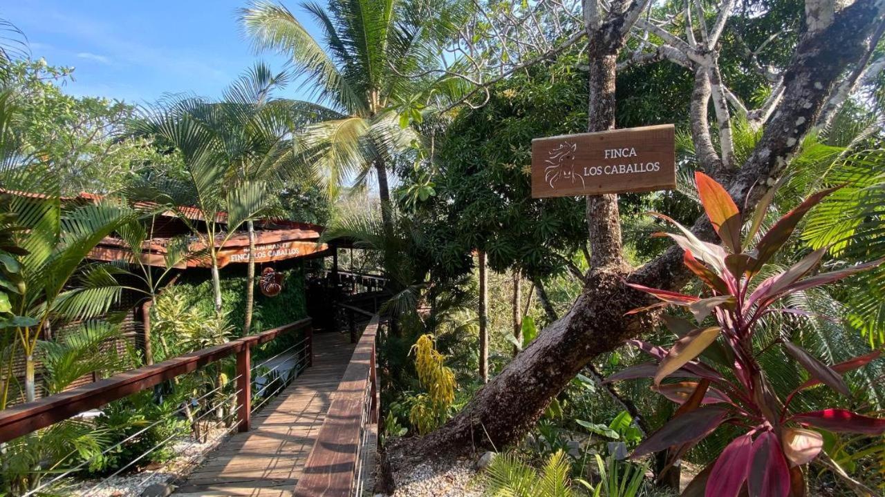 Finca Los Caballos Montezuma Luaran gambar
